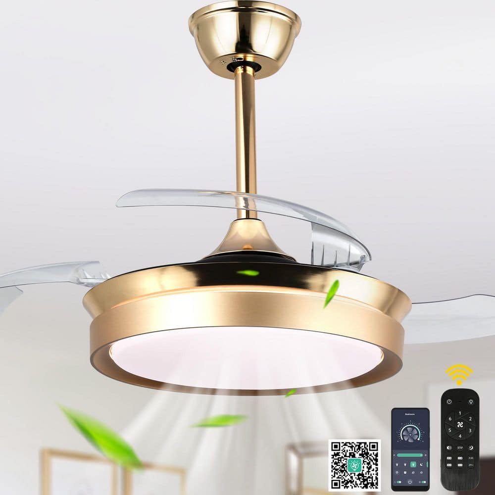 Belleville 36in. LED Latest DC Motor Light Memory Indoor French Gold Retractable Ceiling Fan with Light, 6-Speed price history on PriceWatchPro