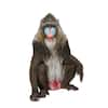 HI-LINE GIFT LTD. Mandrill Monkey- Sitting- Garden Statue 87669