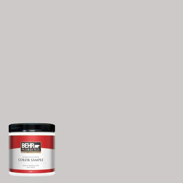 BEHR PREMIUM PLUS 8 oz. #790E-2 Gentle Rain Flat Interior/Exterior Paint and Primer in One Sample