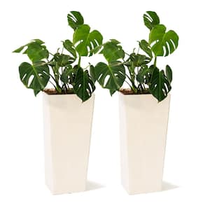 28 in. Tall Modern Square Plastic Planter, Tapered Floor Planter for Indoor and Outdoor, Patio Decor, White (Set of 2)