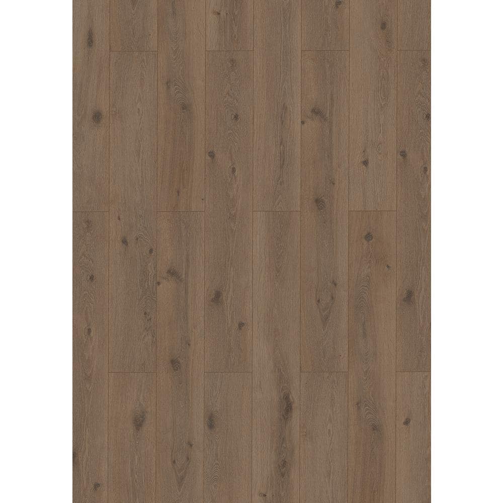 Take Home Sample - Wilbur Cross Oak Waterproof Hybrid Resilient Flooring price history on PriceWatchPro