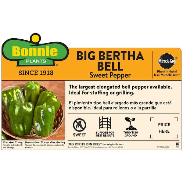 Green Bell Pepper  Winn-Dixie delivery - available in as little as two  hours
