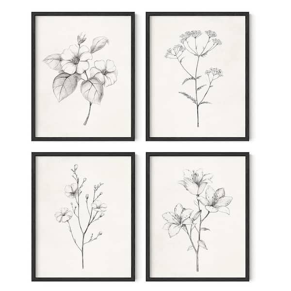Unbranded 4 Piece Black Wood Framed Black and White Flower Wall Prints 14 in. x 11 in.