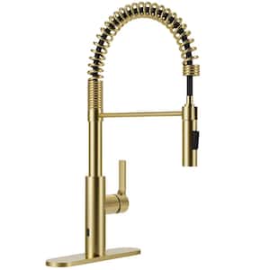 Ola Hands Free Touchless 1-Handle Pull-Down Sprayer Kitchen Faucet with Motion Sense and Fan Sprayer in Brushed Gold