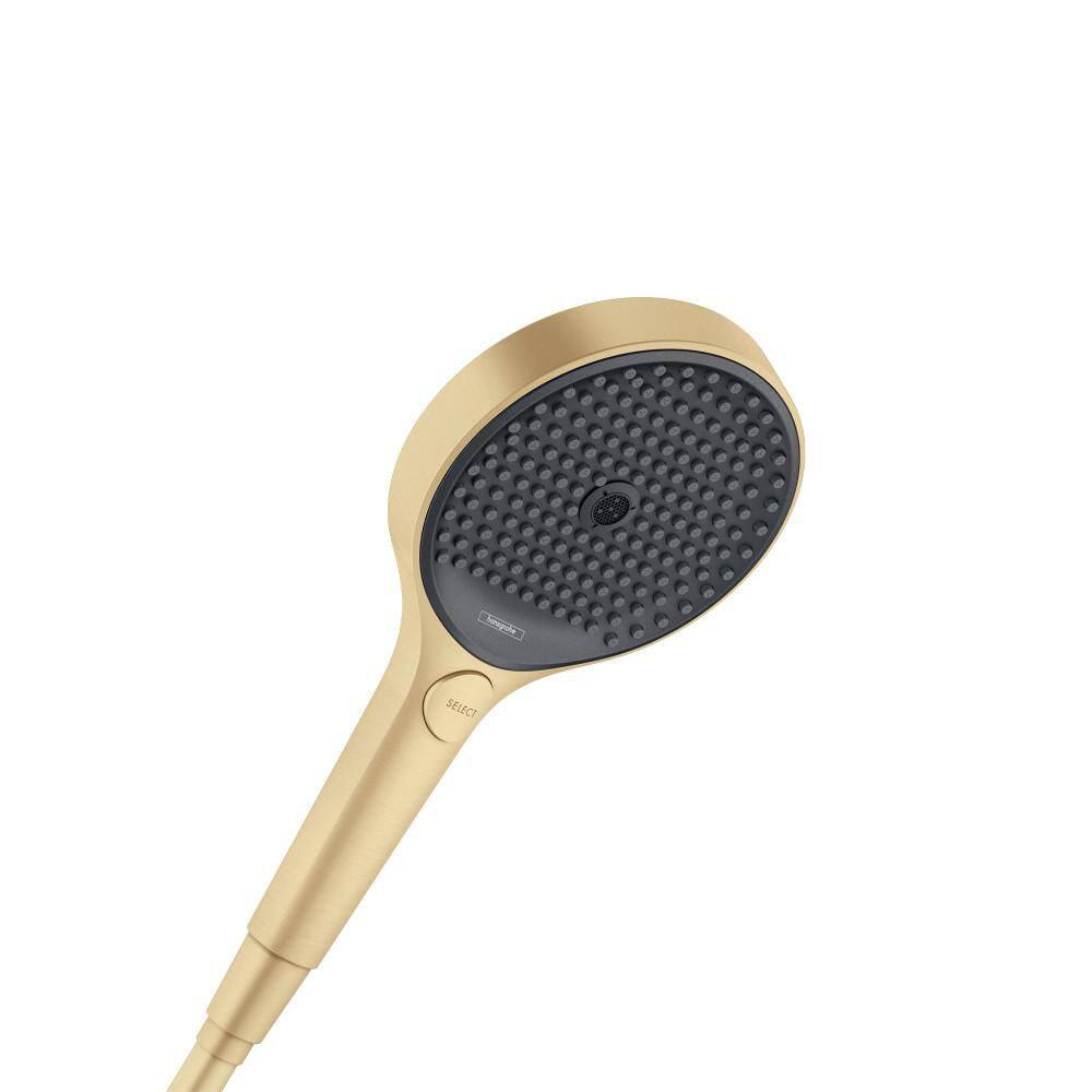 Rainfinity 3-Spray Wall Mount Handheld Shower Head 2.5 GPM in Brushed Gold Optic price history on PriceWatchPro