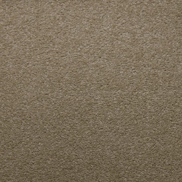 Home Decorators Collection Sweet Dreams I - Canvas - Beige 48 oz. SD Polyester Texture Installed Carpet