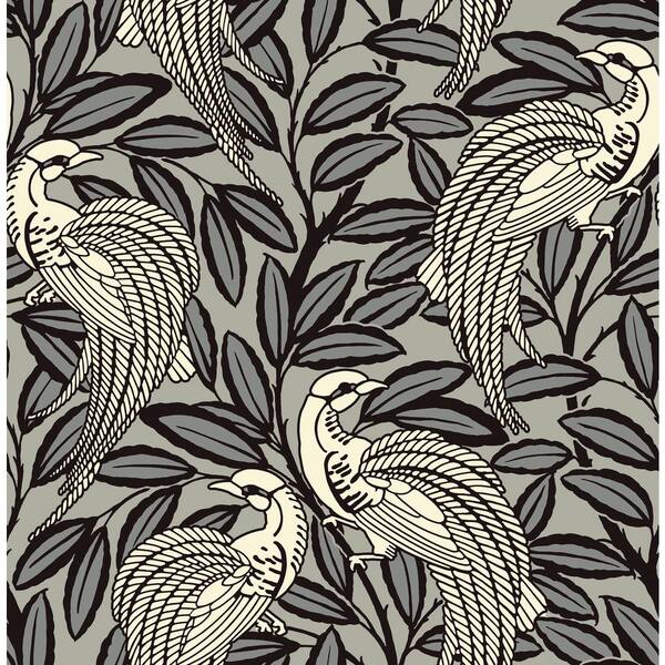 Unbranded Tailfeather Bowler Black Non-Pasted Wallpaper, Covers 57.26 sq. ft.