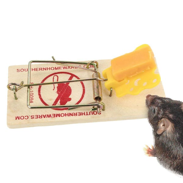 Wooden Snap Mouse Trap Easy To Set Classic Traps Cheese Shaped Trigger Four Pack 