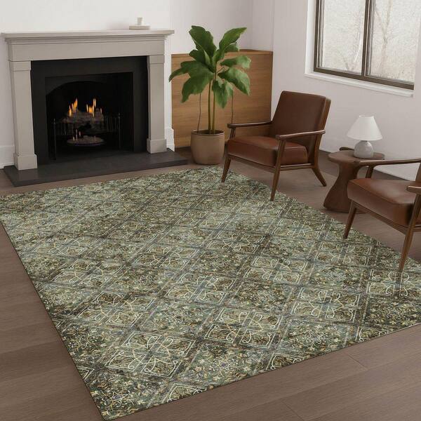 Addison Rugs Chantille Machine Washable Indoor/Outdoor Abstract
