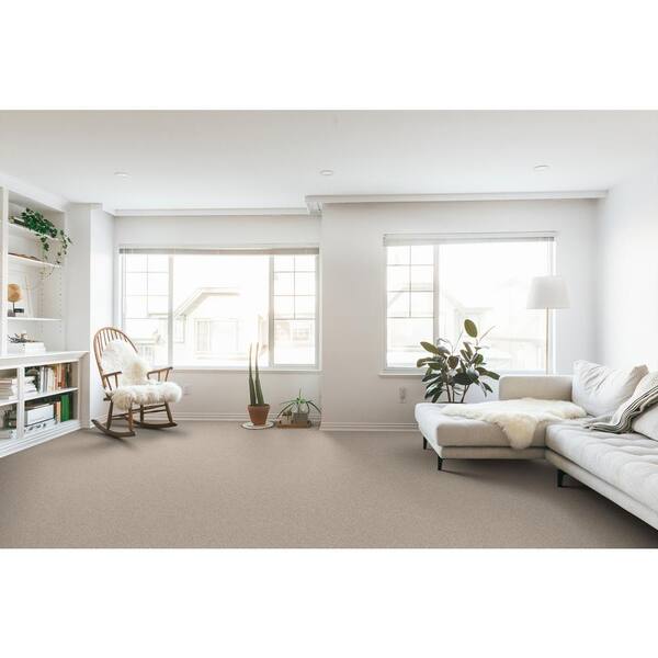 Home Decorators Collection Vacation Pale Oak Beige 42 oz. SD