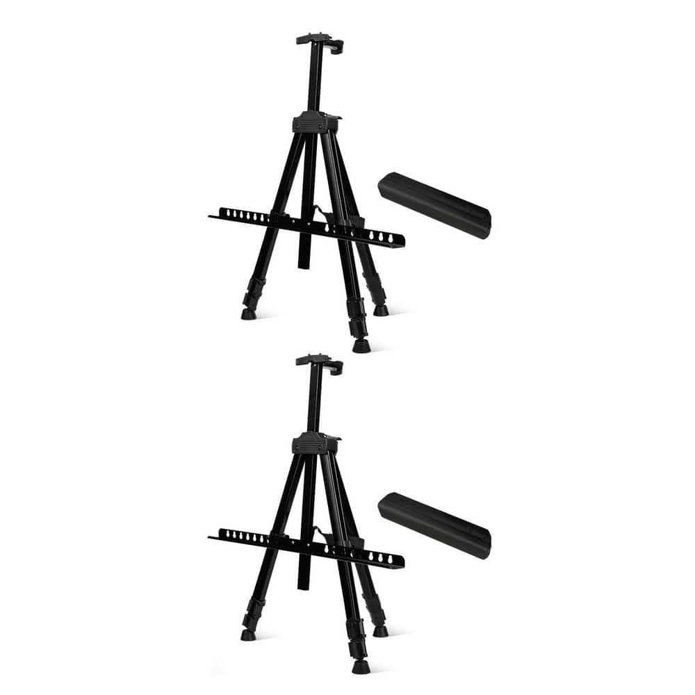 Aoibox 2 Pack Adjustable Iron Easel Stand with Carry Bag, Height