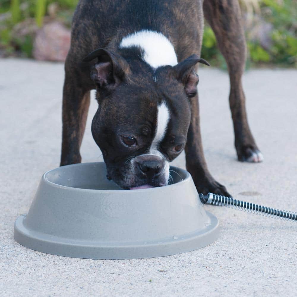 Gray Heated Pet Water Bowl with Steel-Wrapped Cord
