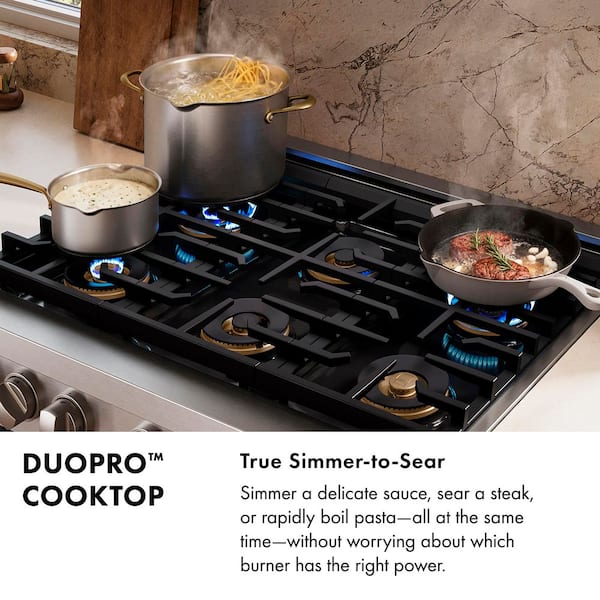 ギュチョルコン　DOUBLE UP TYPE-B ZLINE Kitchen and Bath Autograph 48 in. 6.7 cu. ft. Paramount Dual