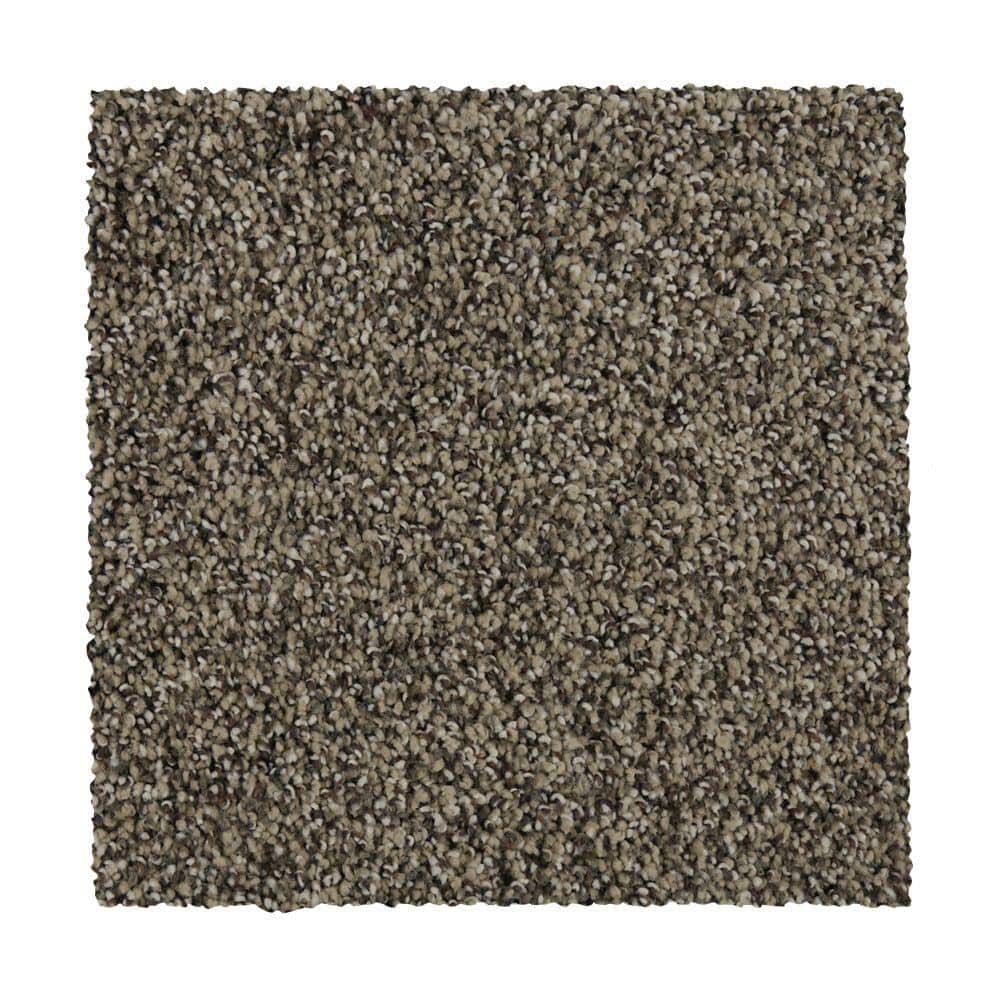 8 in. x 8 in. Texture Carpet Sample - Batesfield - Color Legend price history on PriceWatchPro