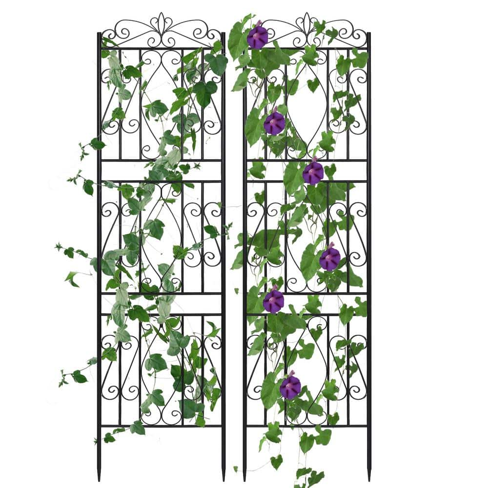 AESOME 71 In. Garden Trellises Black Metal Outdoor Decorative Trellis ...