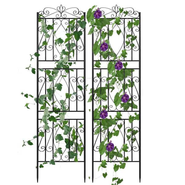 AESOME 71 in. Garden Trellises Black Metal Outdoor Decorative Trellis