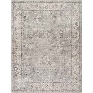 Becki Owens Davina Taupe Oriental 9 ft. x 12 ft. Indoor Area Rug