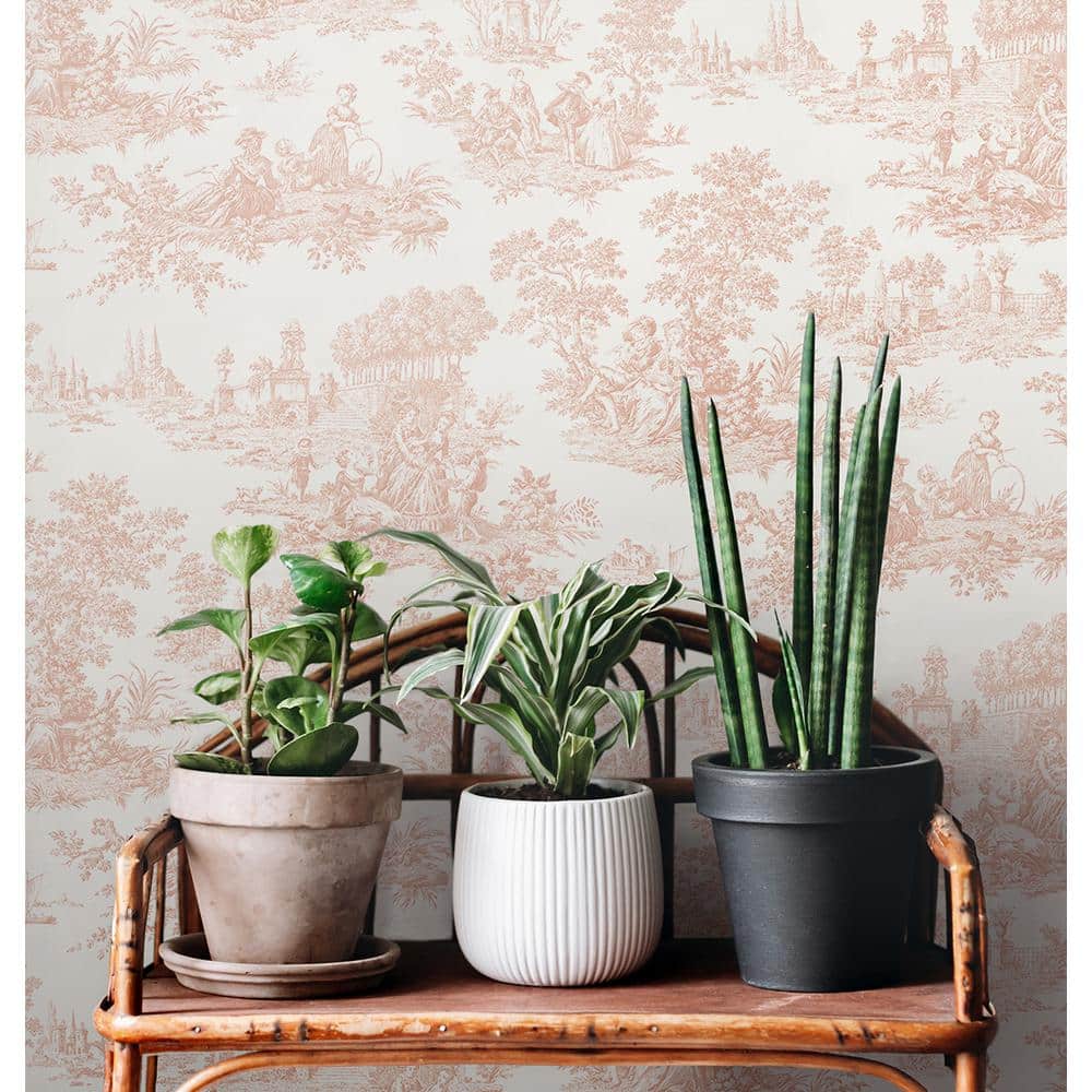 Blush Pink Vinyl Peel and Stick Wallpaper with French Countryside Design