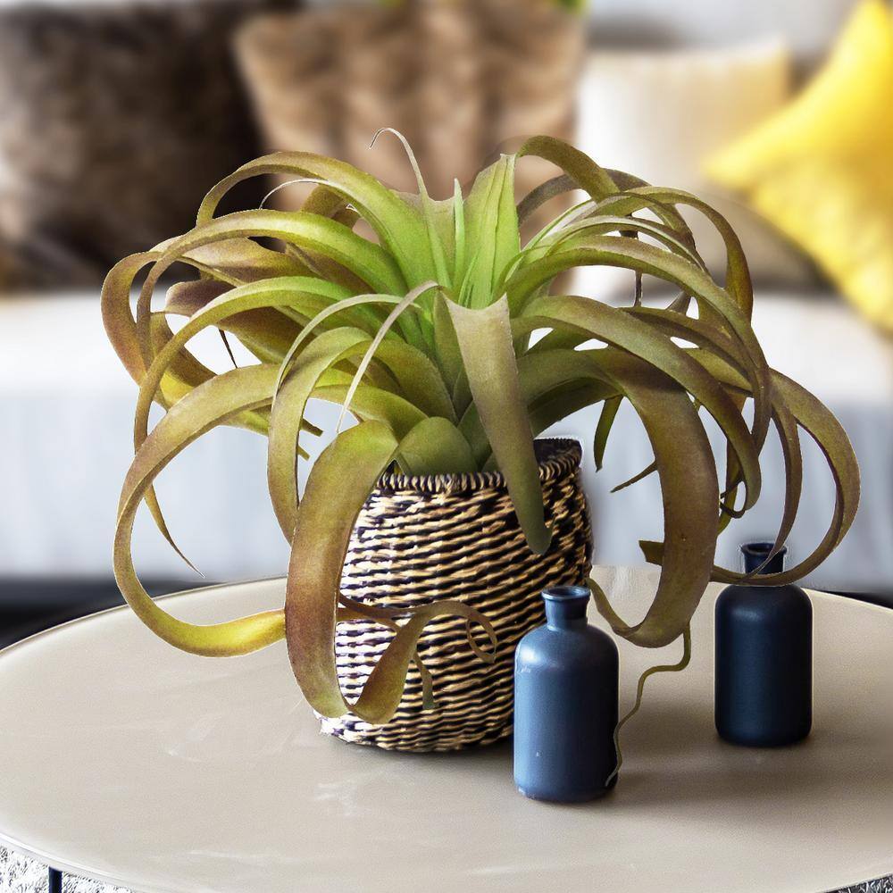 LIVING LUXURY 14 in. Giant Large Brown Tillandsia Artificial
