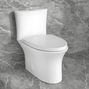 12 in. Rough-In 1-piece 1.6/1.1 GPF Dual Flush Elongated Toilet in White, Slow Close Seat Included