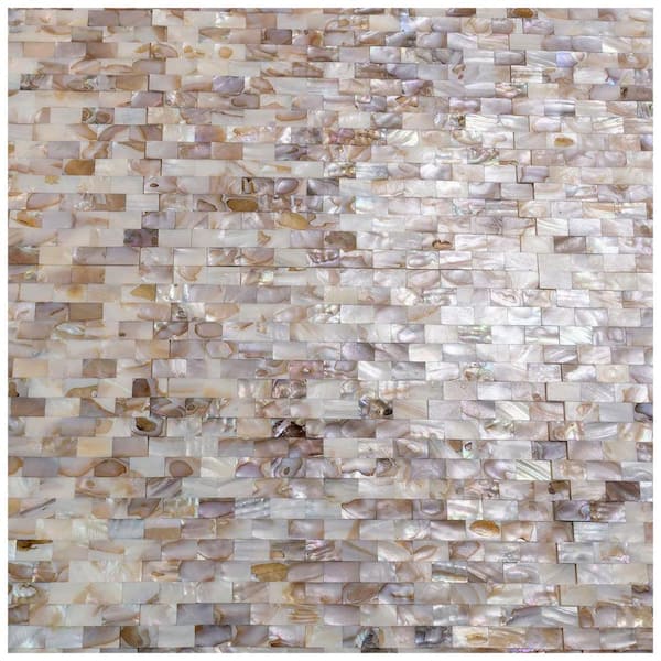 Apollo Tile (Sample) Wall Tile Beige Shell 4-in x 4-in Polished Marble Wall Tile