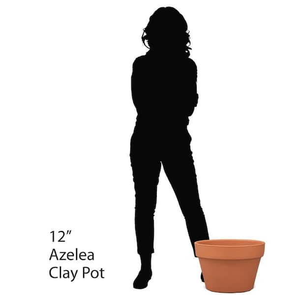 12 in. Medium Terra Cotta Clay Dish Garden Planter