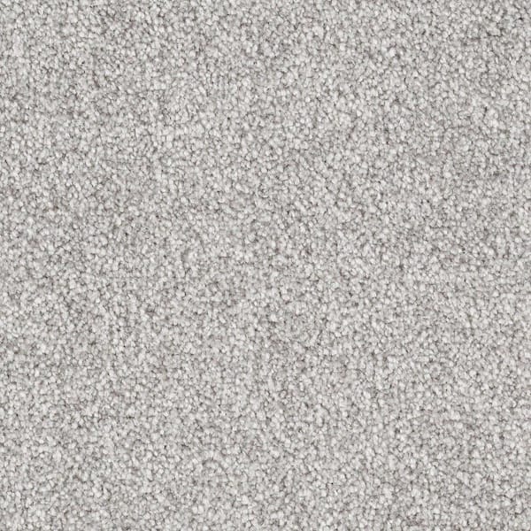 8 in. x 8 in. Texture Carpet Sample - Silver Mane I -Color Shadow
