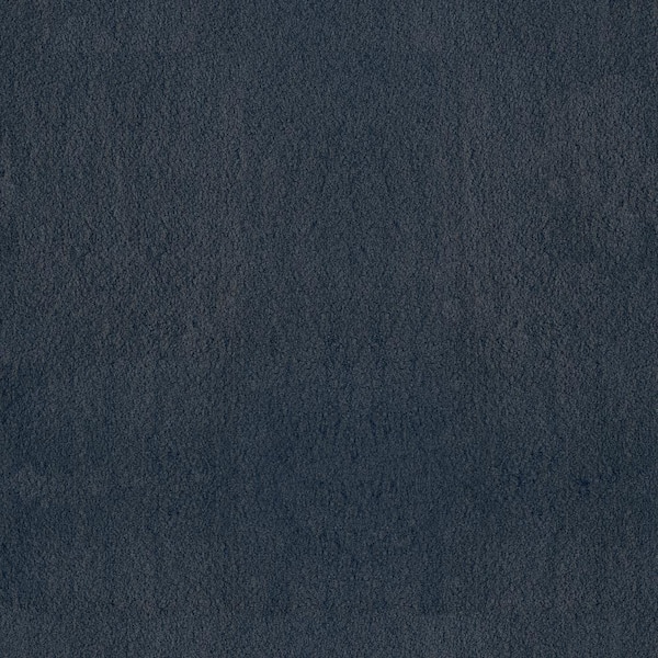 Lifeproof Dreamy Daze I Lark Blue 56 oz. Nylon Texture Installed Carpet