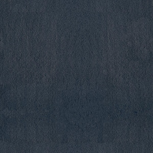 Dreamy Daze II Lark Blue 66 oz. Nylon Texture Installed Carpet