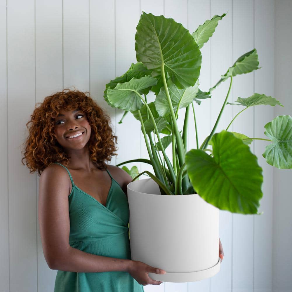 White Medium Round Resin Planter with Saucer