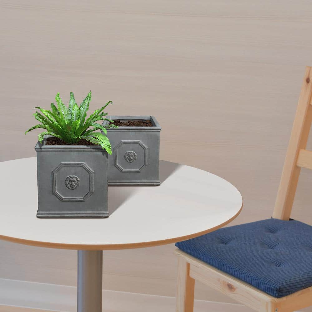 Antique Gray Concrete Lion Head Square Planter Set