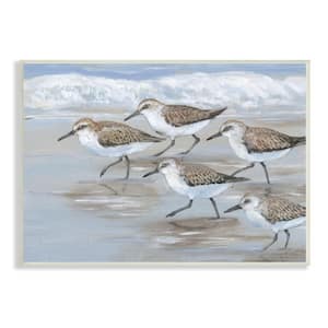 Sandpiper Bird Flock Marching Beach Coast Waves by Tim Otoole Unframed Animal Art Print 19 in. x 13 in.