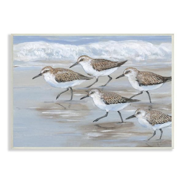 The Stupell Home Decor Collection Sandpiper Bird Flock Marching Beach Coast Waves by Tim Otoole Unframed Animal Art Print 19 in. x 13 in.
