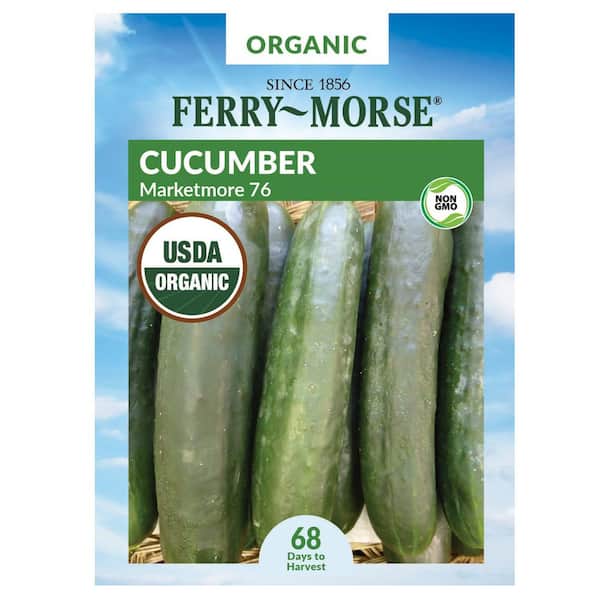 Organic Cucumber Marketmore Fruit Seed