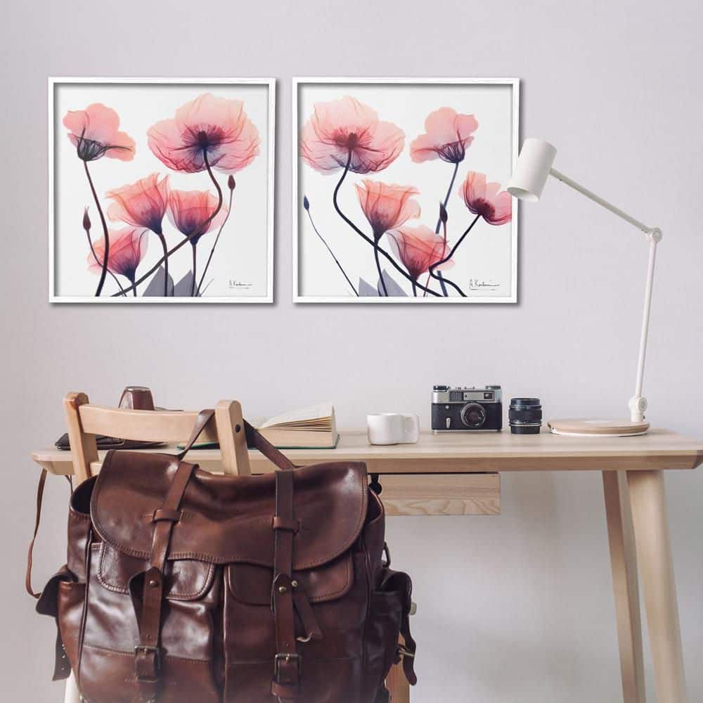 Various Faded Pink Flowers by Albert Koetsier 2-Piece White Framed Nature Giclee Art Print 24 in. x 24 in. price history on PriceWatchPro