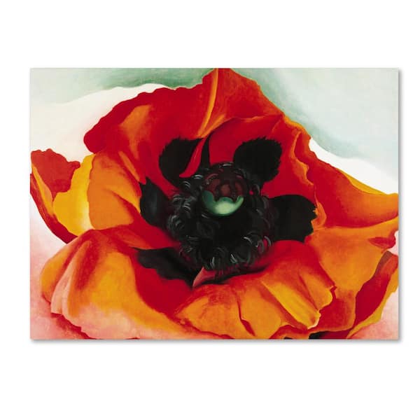 Trademark Fine Art Poppy by Georgia O'Keefe Print Hidden Frame Nature Wall Art 24 in. x 32 in.