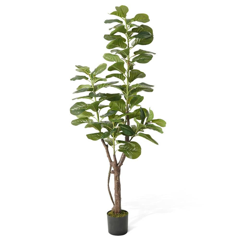 CAPHAUS 6 ft. Green Artificial Fiddle Leaf Fig Tree with Dried Moss in Pot, Ficus Lyrata Faux Tree for Indoor Home Office HDFT-CHFL7202 - The Home Depot