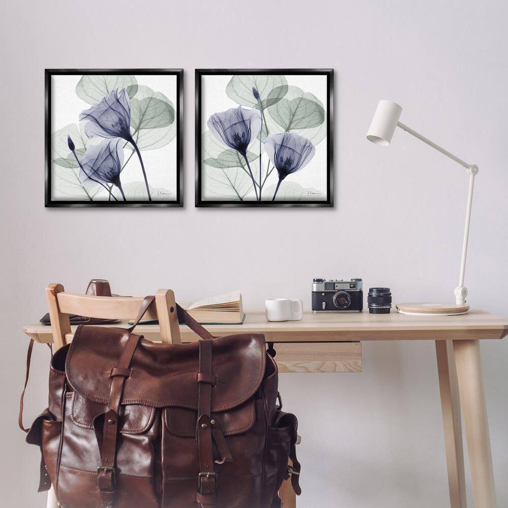 Fading Florals and Herbs by Albert Koetsier 2-Piece Black Floater Frame Nature Graphic Art Print 18 in. x 18 in. price history on PriceWatchPro