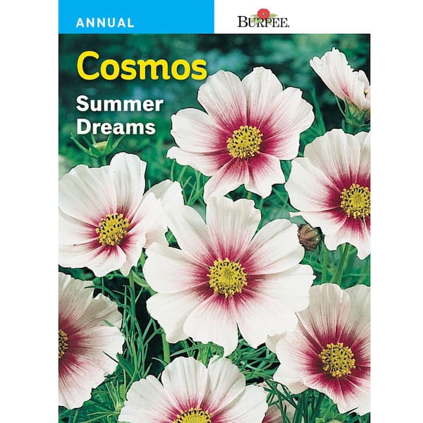 Burpee Cosmos Summer Dreams Flower Seed