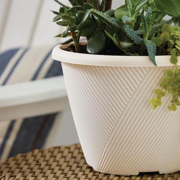 Vigoro Eleanora Medium Cream Plastic Self-Watering Lightweight Round Planter (11 in. L x 11 in. W x 7.9 in. H)