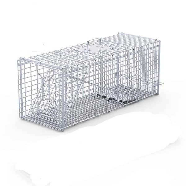 Unbranded Outdoor Raccoon Foxes Coyotes Stray Dogs Armadillos Squirrels Live Animal Bait Trap Cage Folding Catch Galvanized Iron