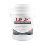 Blok-Lok 5 gal. Ready to Use Penetrating Water Repellent