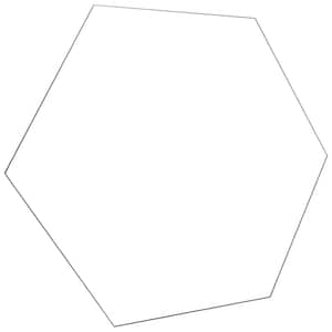 24 in. W x 28 in. H Frameless Hexagon Infinity Wall Mirror