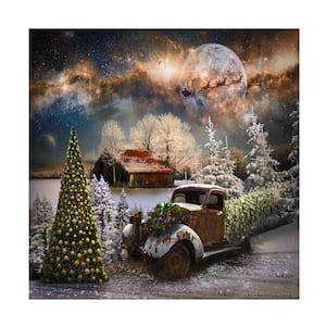 Unframed Home - 'Starry Christmas Night' Photography Wall Art 14 in. x 14 in.