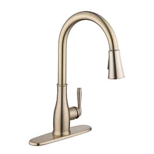 Halwin Single-Handle Pull Down Sprayer Kitchen Faucet in Matte Gold