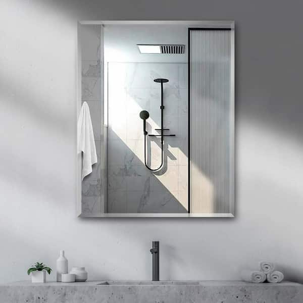 Cesicia Recessed/Surface Mount 24 in. W x 30 in. H Rectangular Aluminum Medicine Cabinet with Mirror and Adjustable Shelf