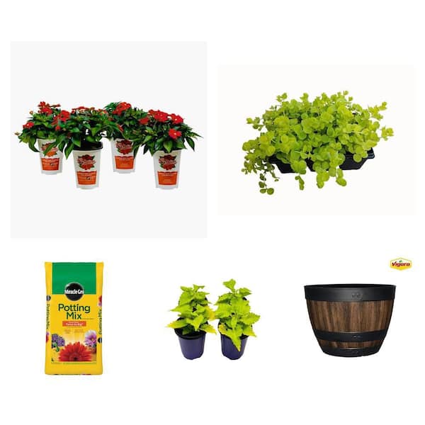 Red SunPatiens Impatiens (4-Plants), Coleus Plant (4-Plants), Lysimachia (6-Pack), 50 Qt. Potting Mix and 16 in. Planter