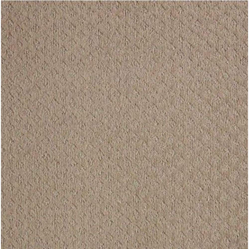8 in. x 8 in. Pattern Carpet Sample - Bradlow - Color Sesame price history on PriceWatchPro