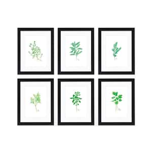 "Nature's Lace 2" by Alyssa Lewis Set of Six Black Framed with Mat Nature Art Print 14 in. x 11 in.