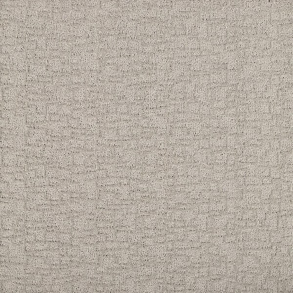 Lifeproof with Petproof Technology Painted Picture - Creative-Gray 12 ft. 45 oz. Triexta PET Pattern Installed Carpet